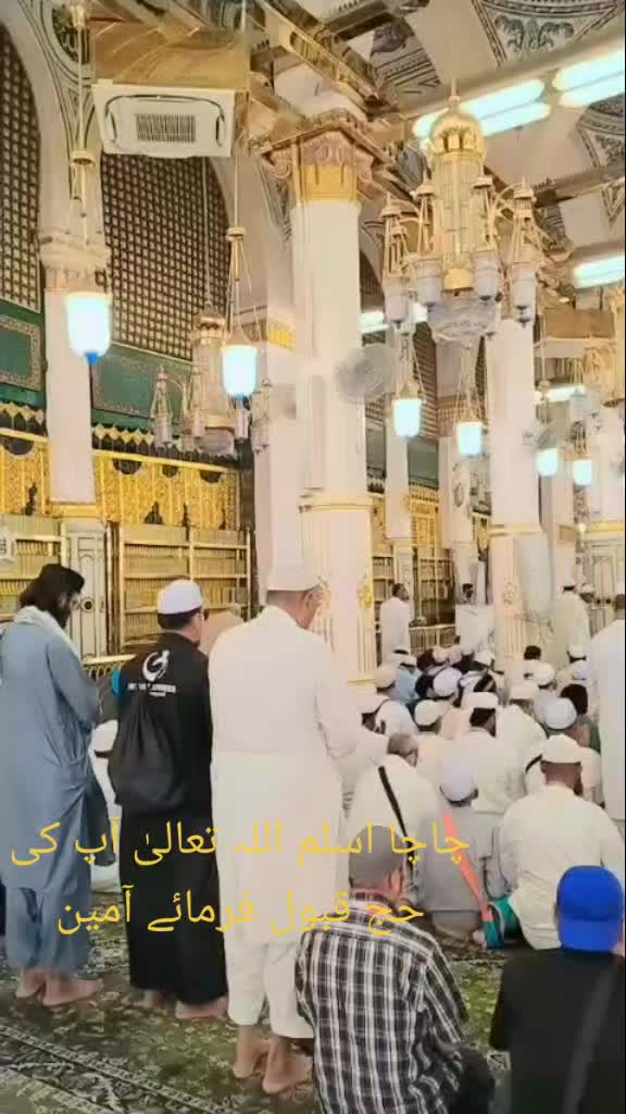 @hashimmalik650