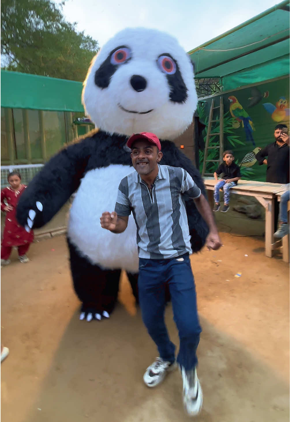 @Cj Birds Zone Official