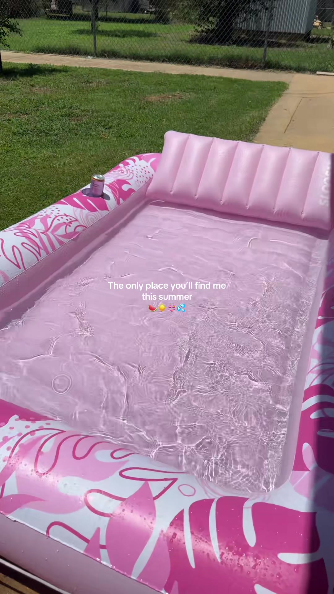 @DoraPalm 💖