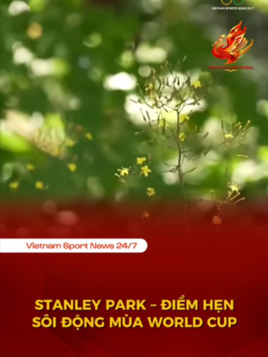 @Vietnam Sport News 24/7