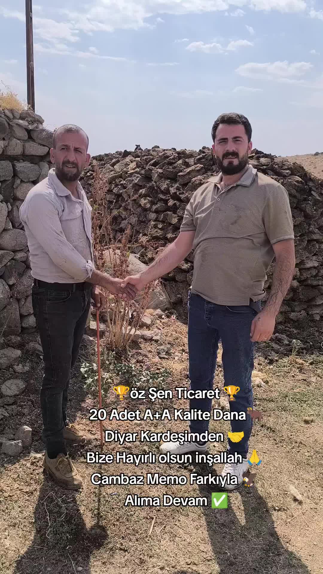 @👑Cambaz Memo Şen👑