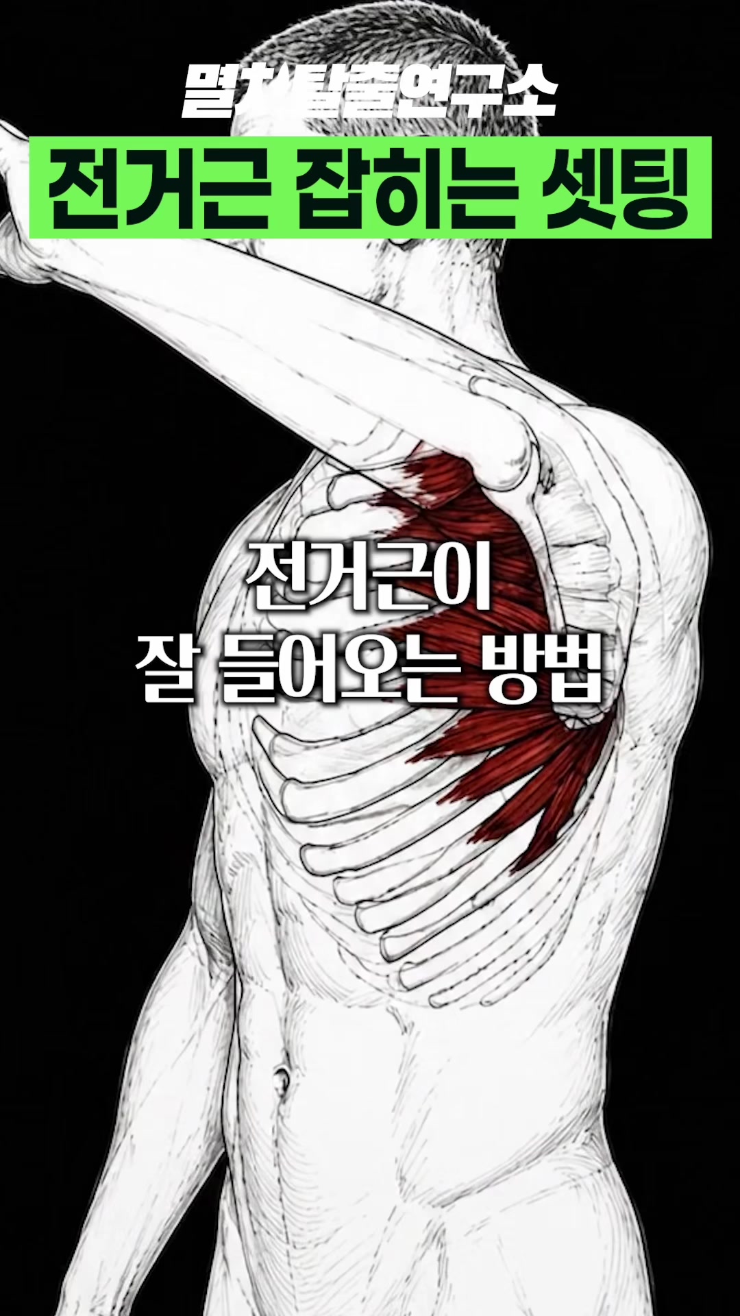 @멸치탈출연구소