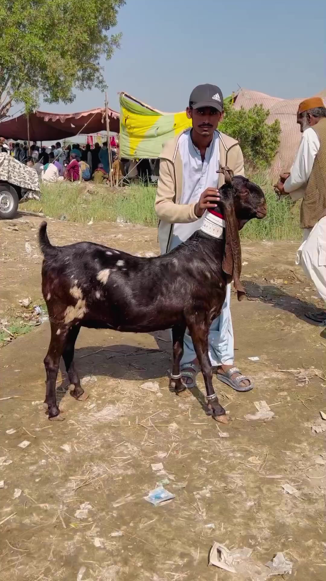 @✨.زاهد سولنگي واپاري. 🐐