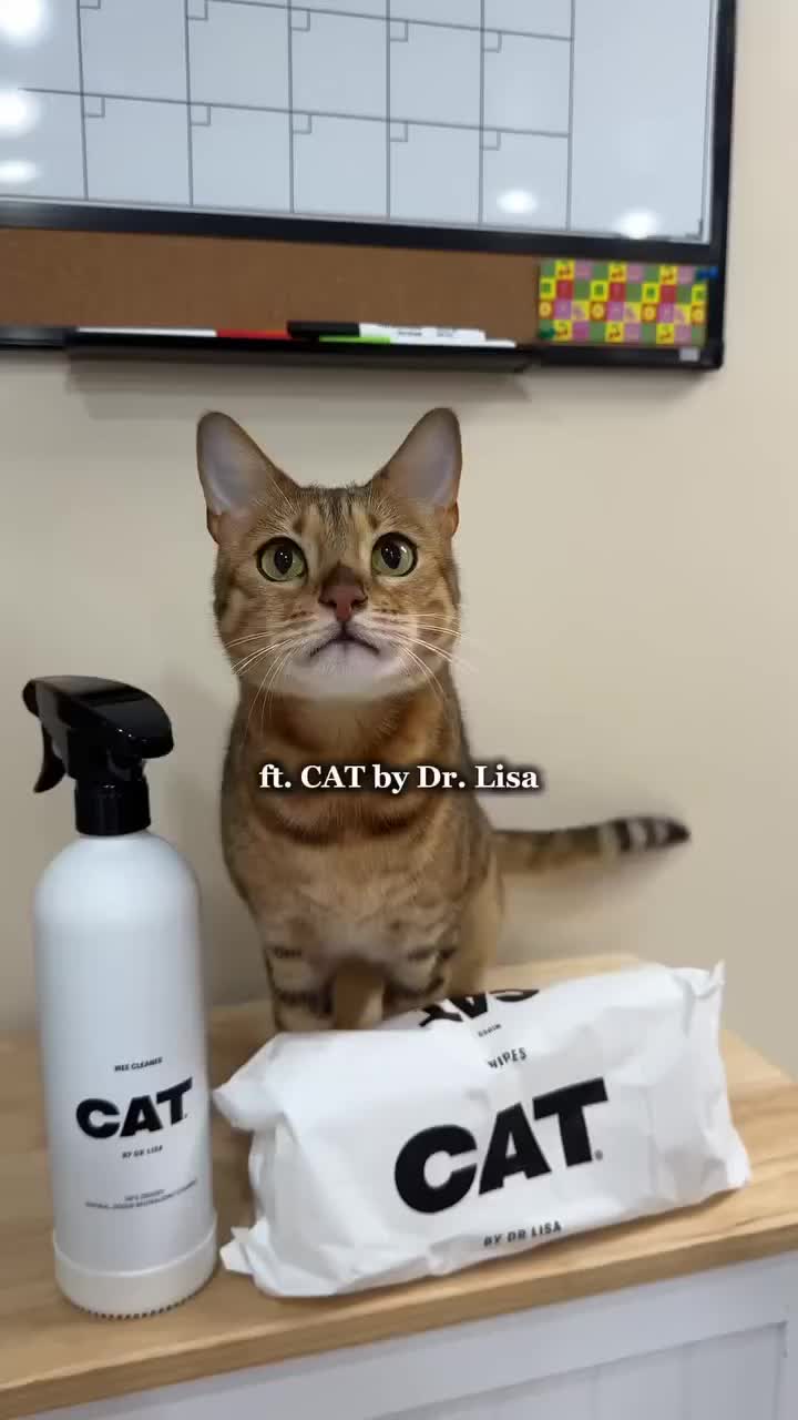 @CAT by Dr Lisa