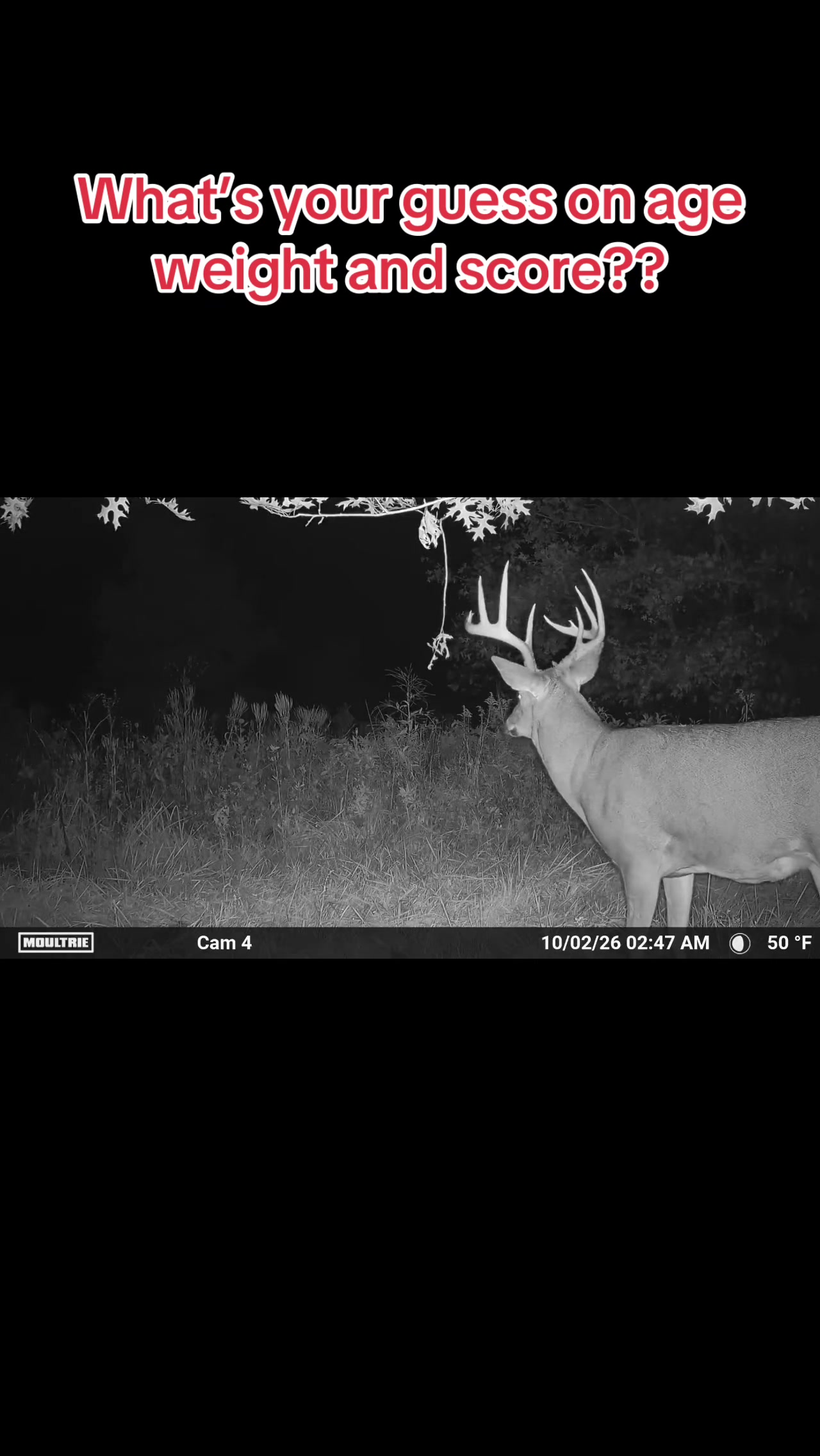 @devotedsportsmen23