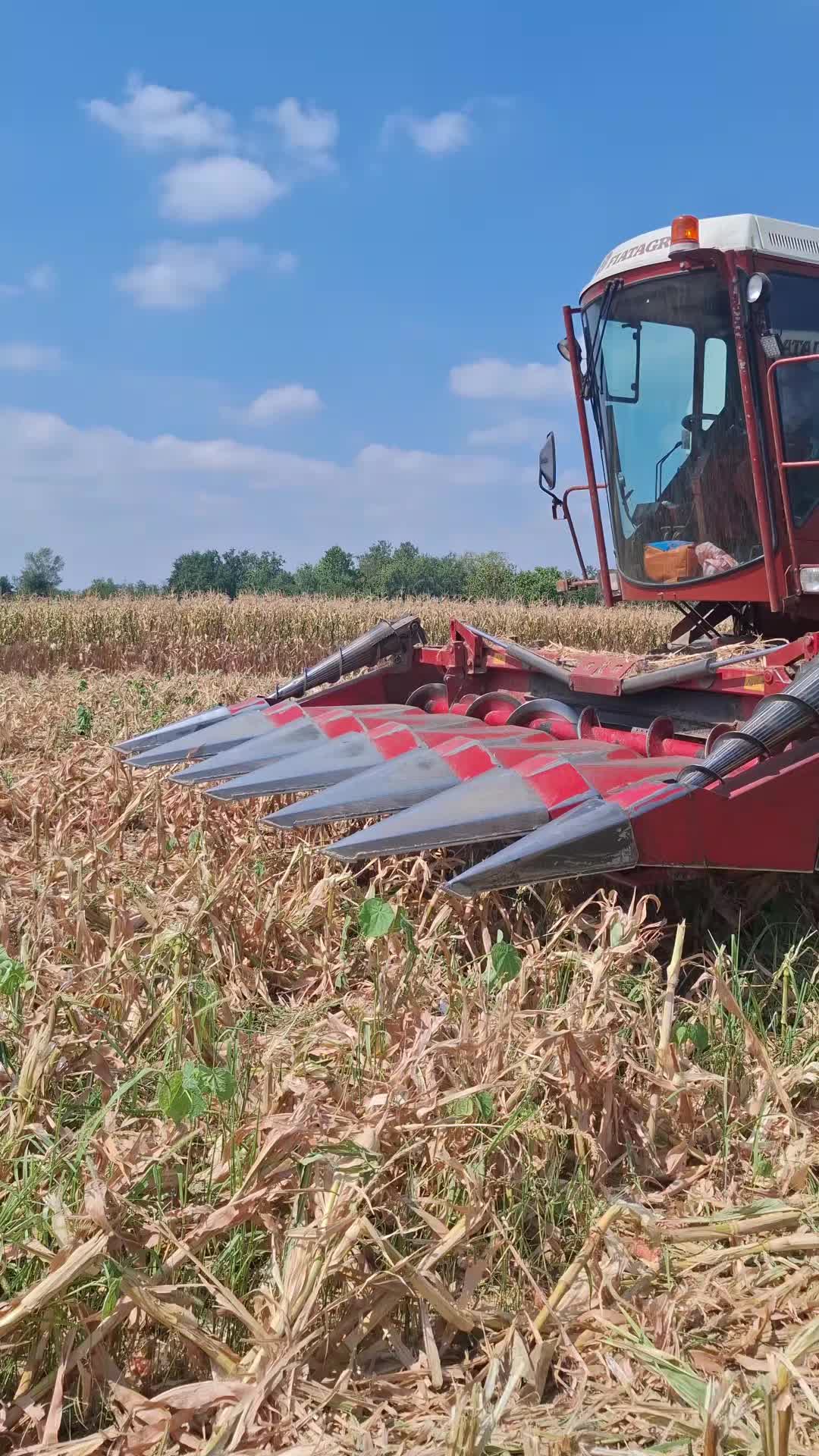 @TEO93.AGROTECH