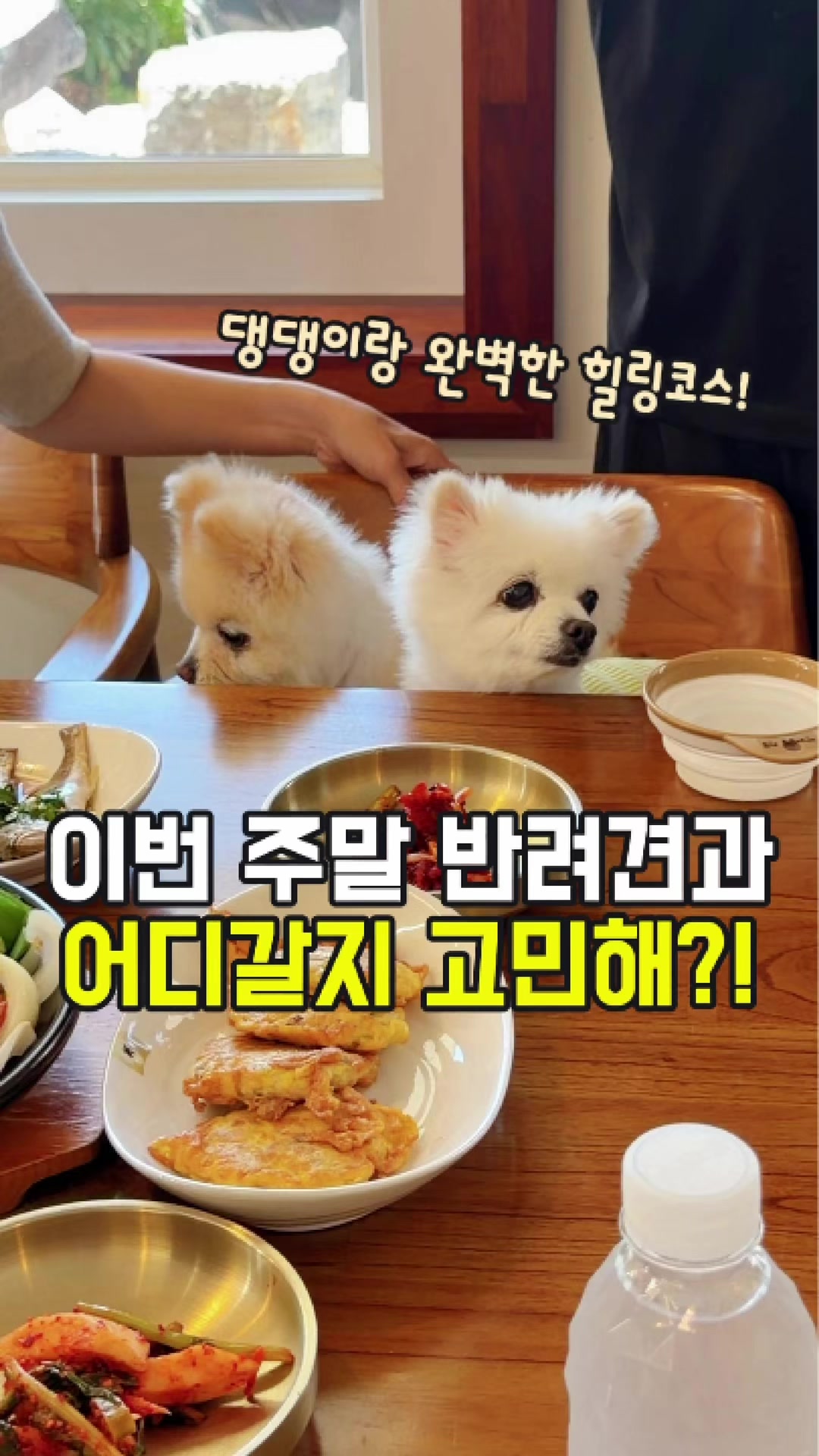 @대전토박이