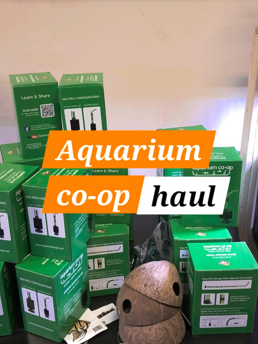 @Schalkx.Aquatics
