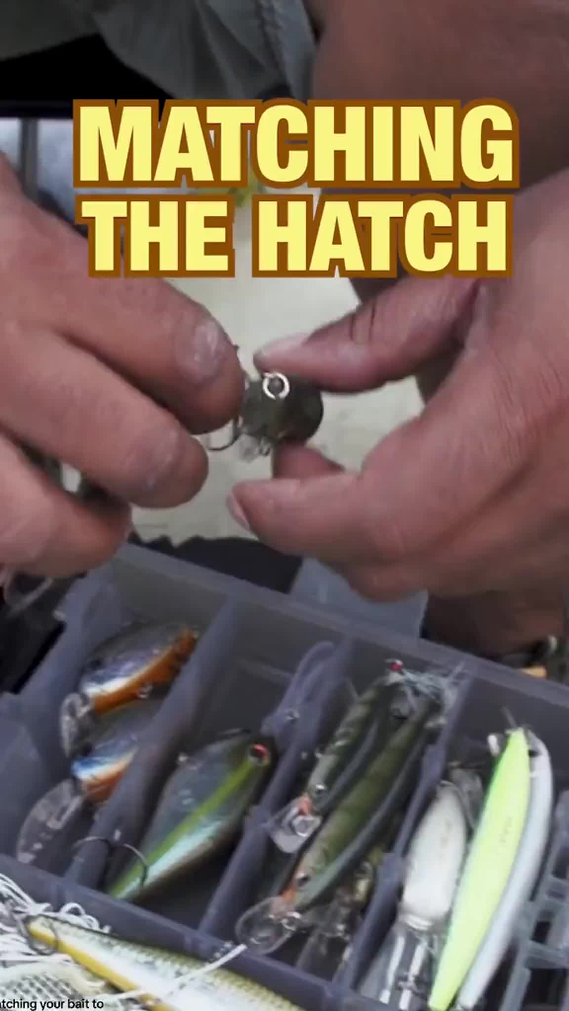 @Lunkerville