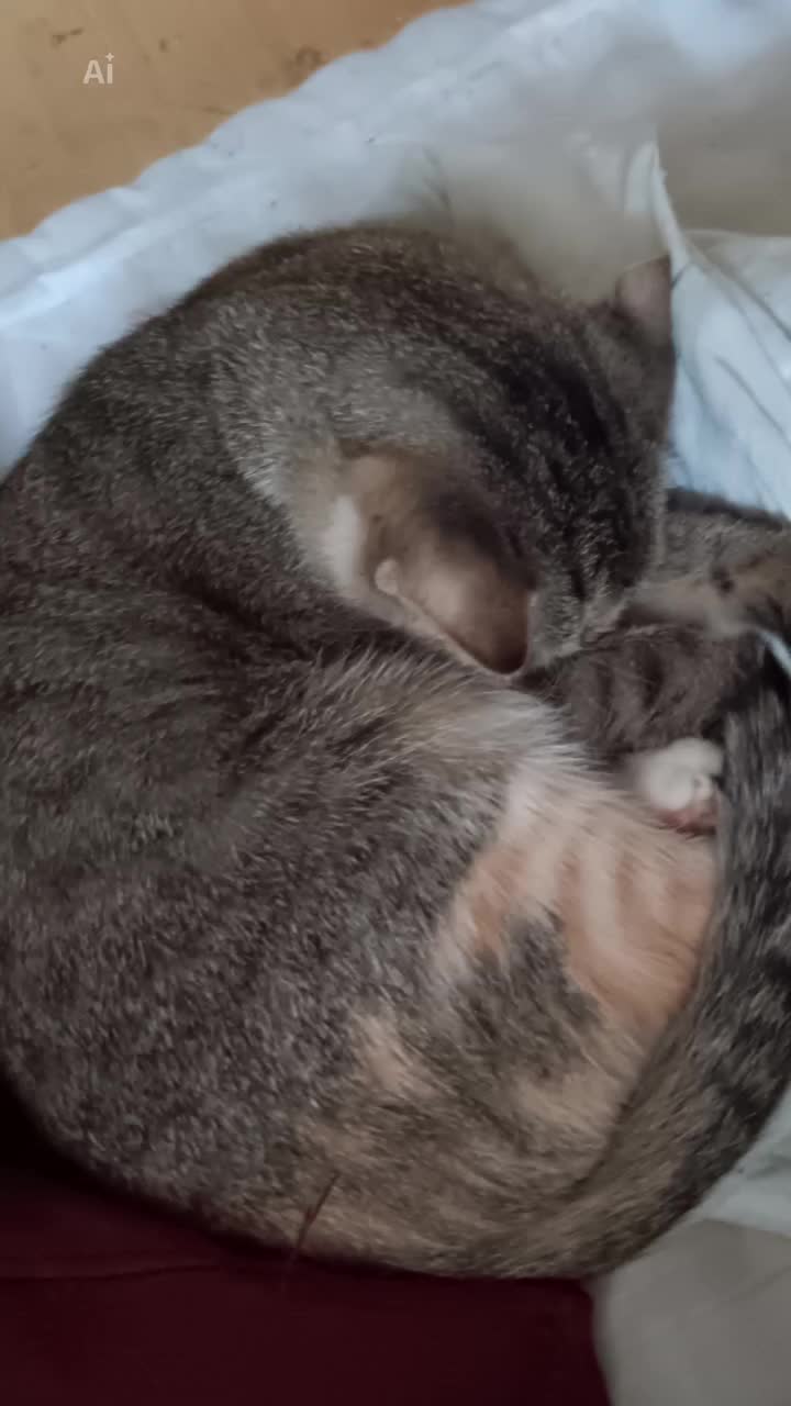 @19digga89