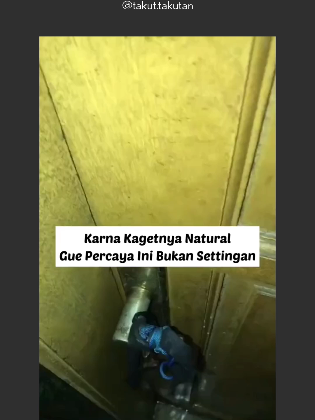 @takut.takutan