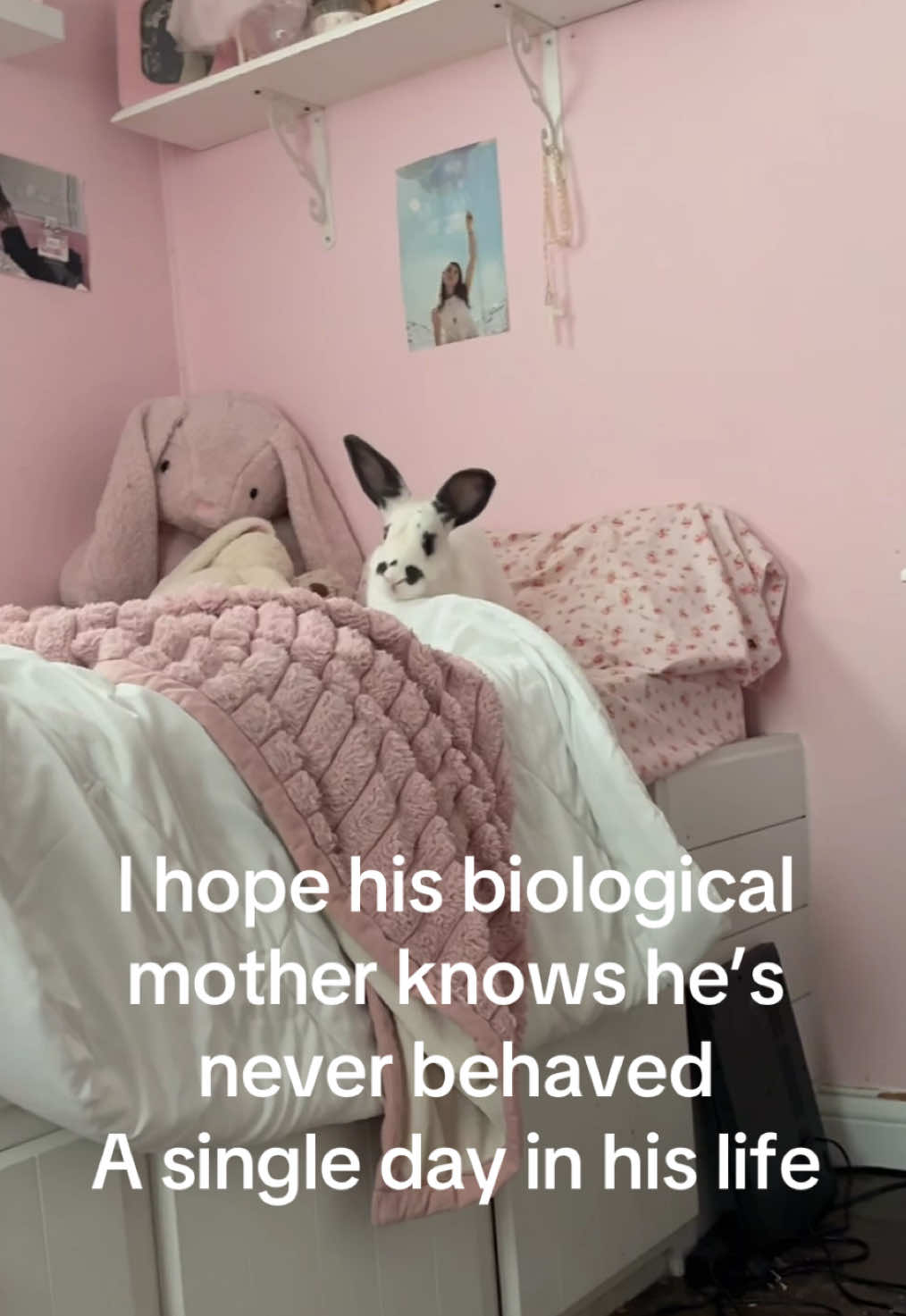 @Rubie ˖⋆࿐໋