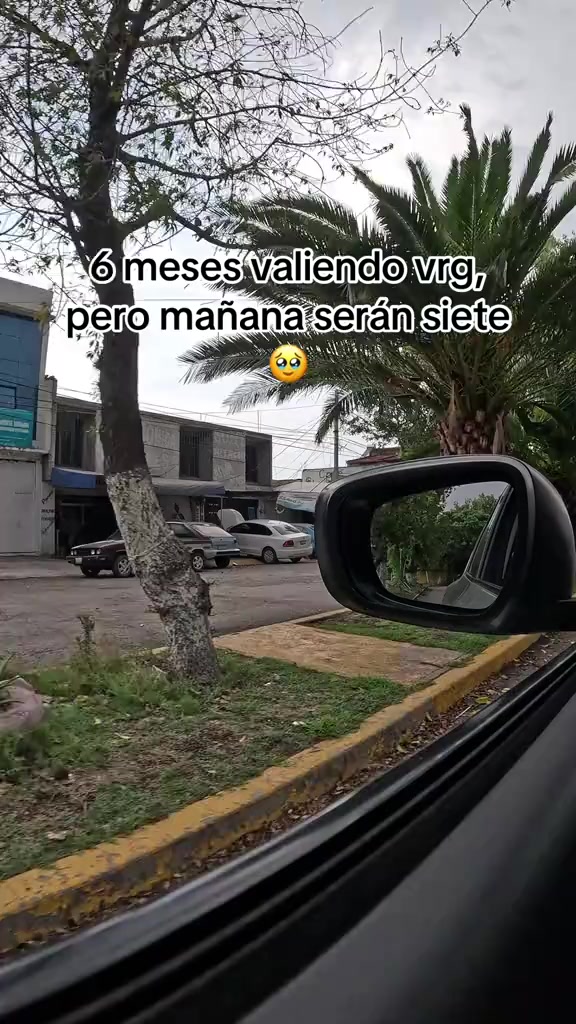 @El tío grillo 🦗