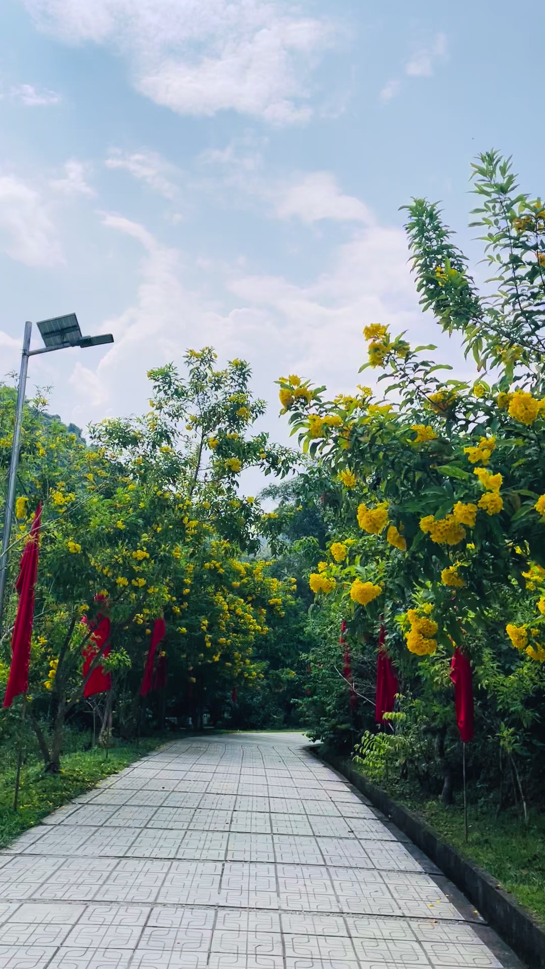 @Bạch Du Lịch