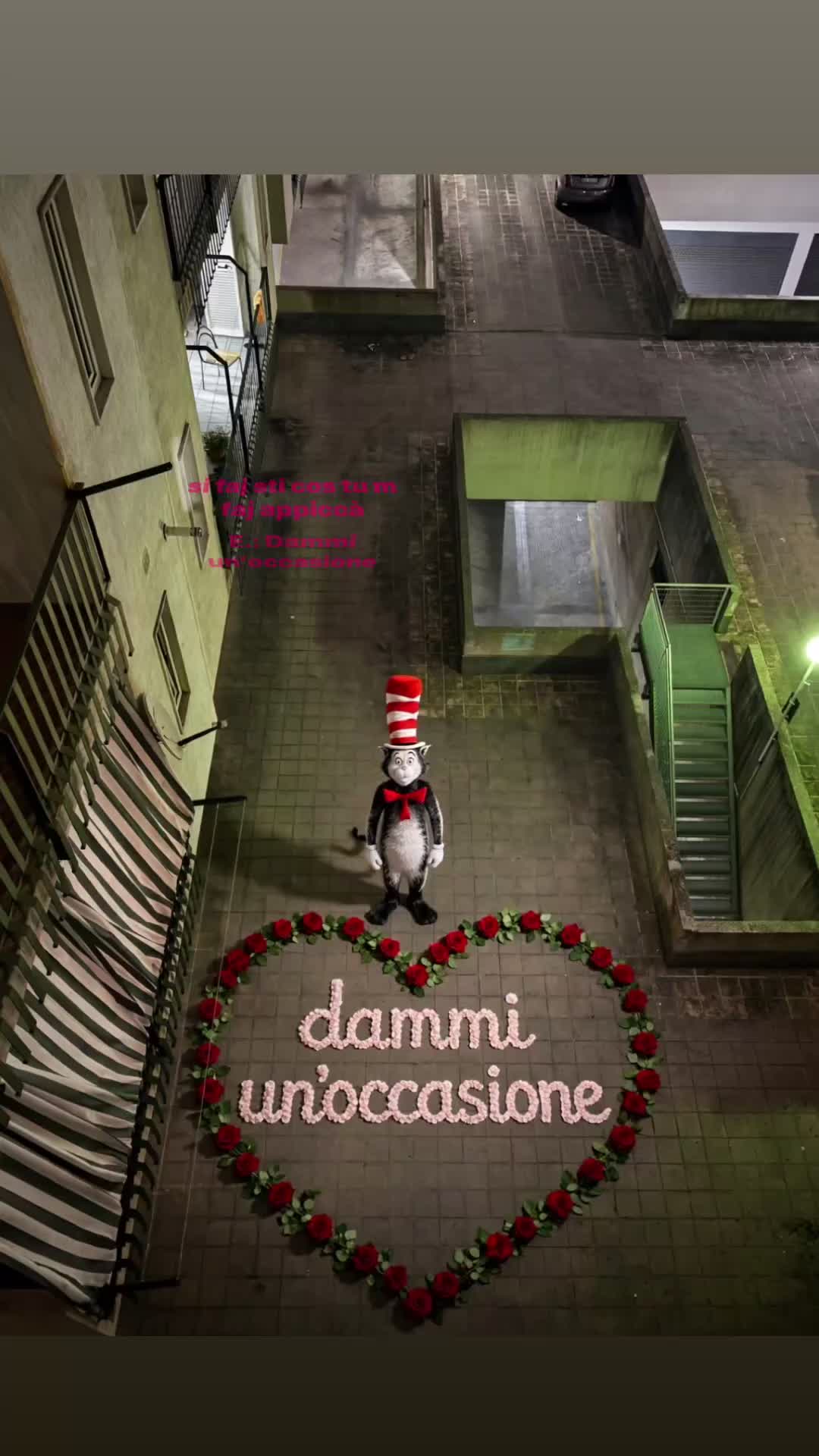 @spamm.14
