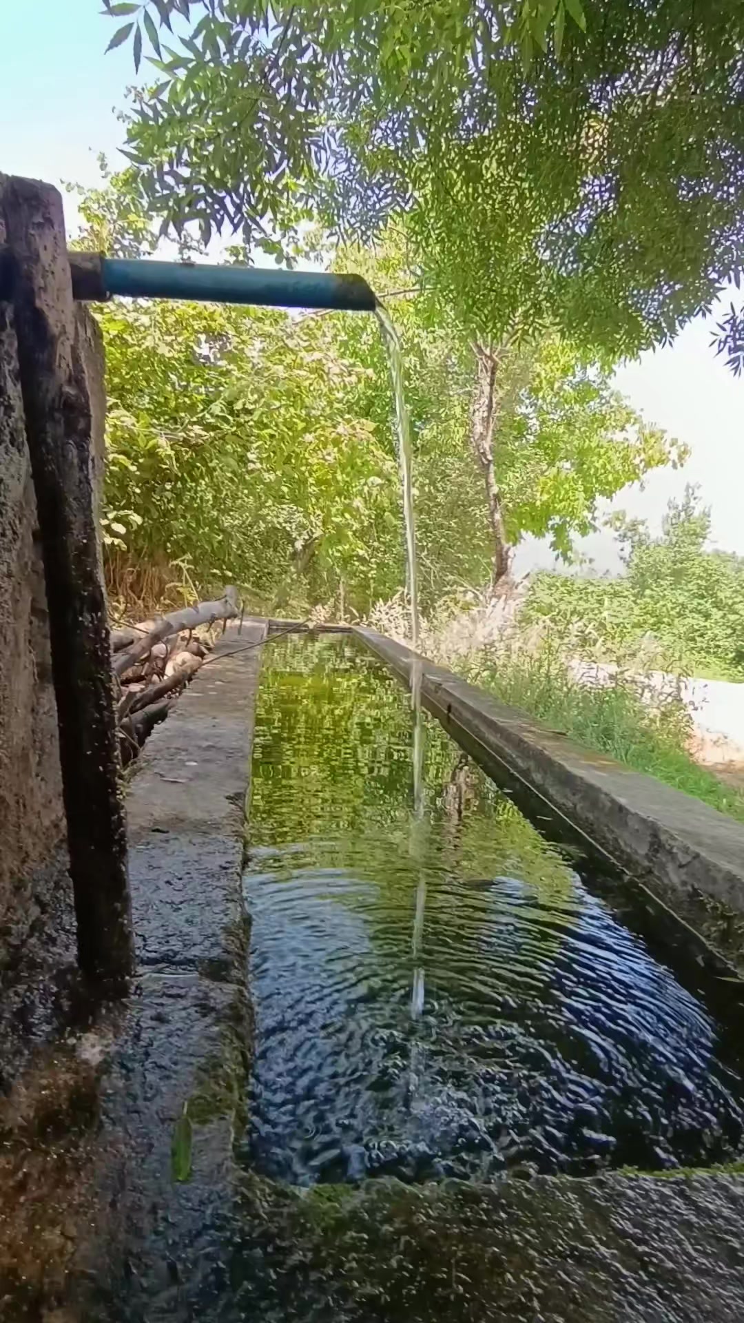 @Nihat Yaşar