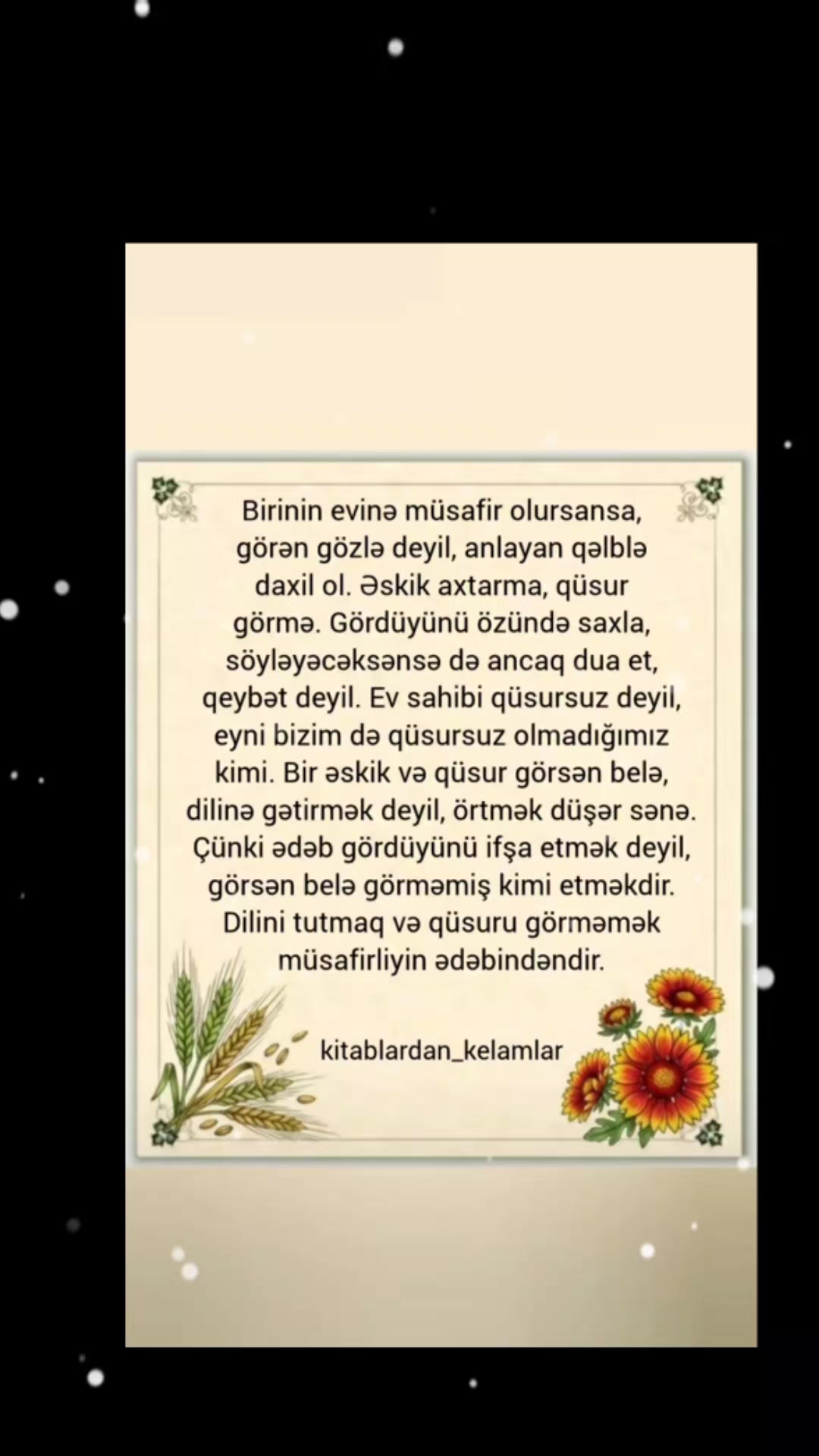 @Hayat⚘