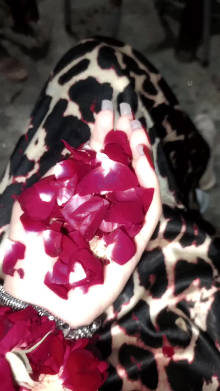 @Crystal_✨