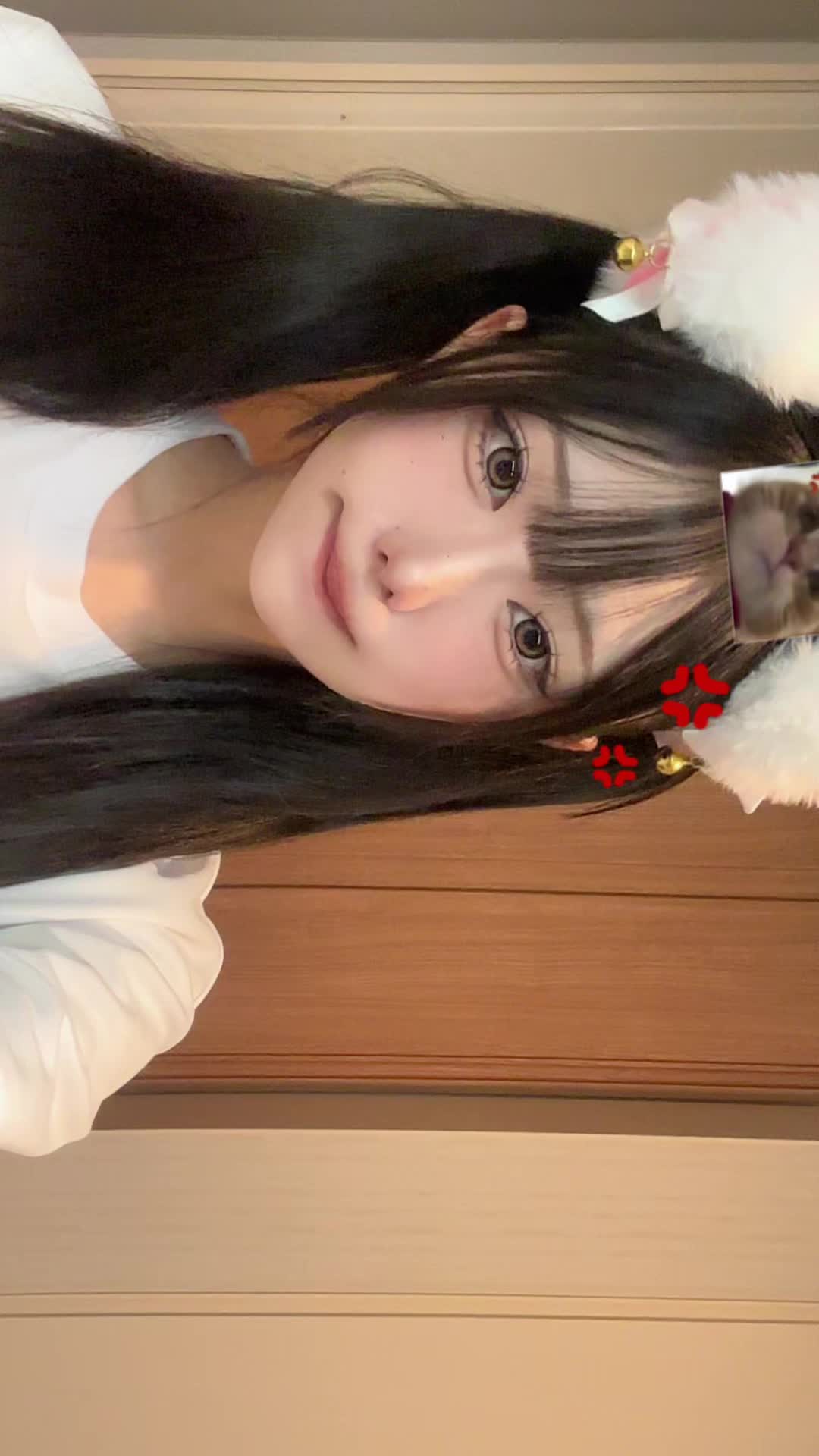 @やまだまお