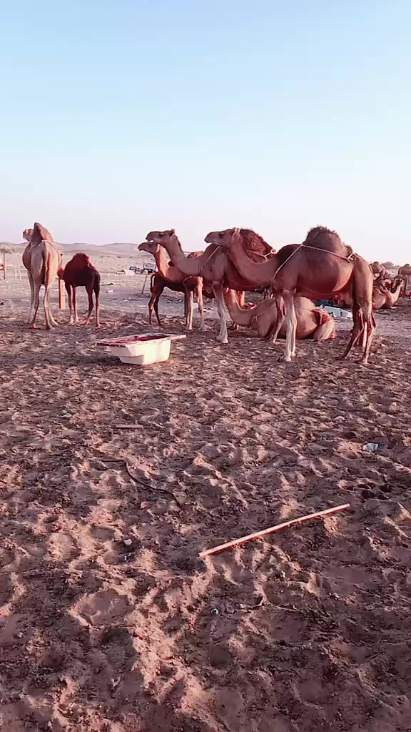 @Haji Sudheer Ahmed