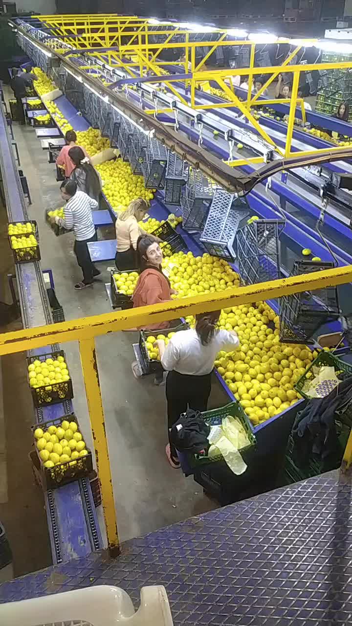 @Fırat7373