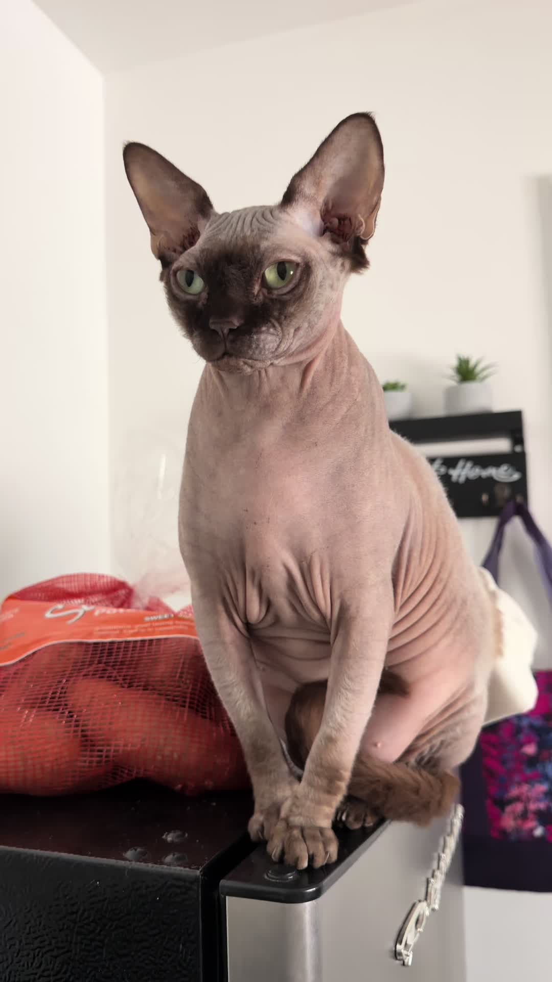 @tiatatacuentacuento
