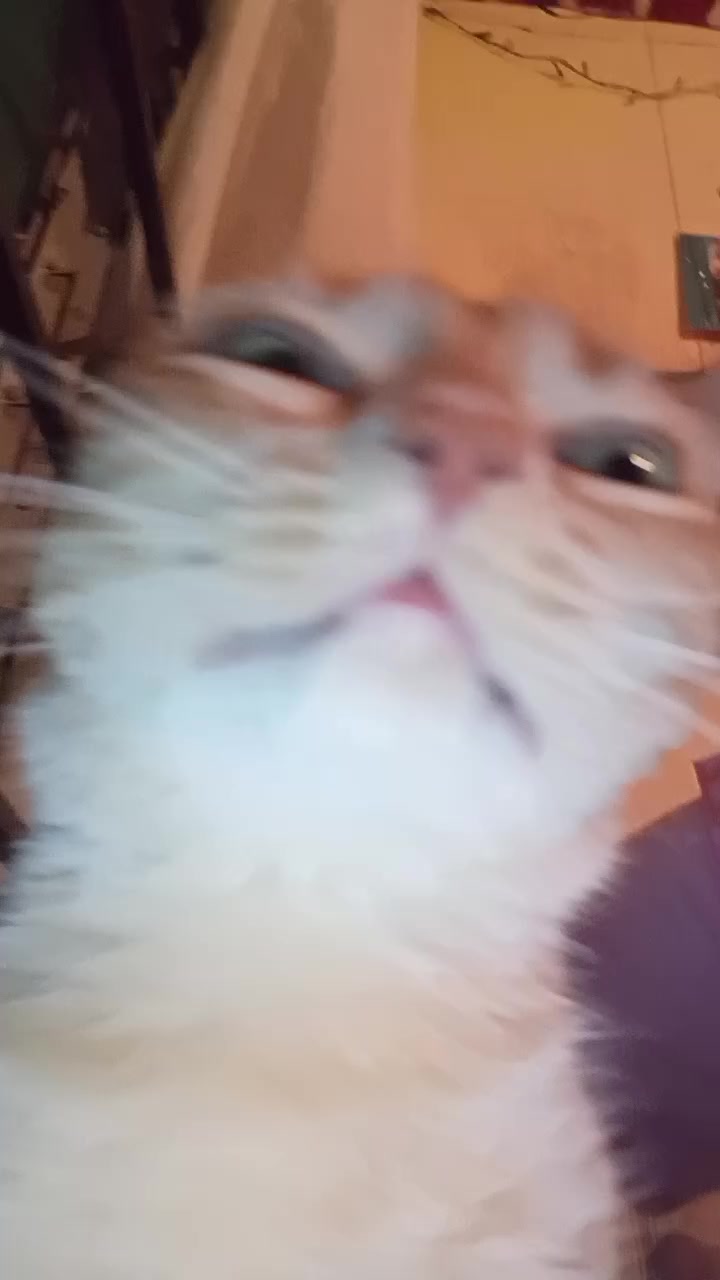 @Rosaaaaaa