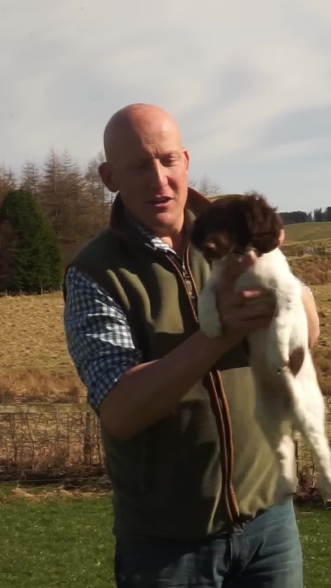 @Mordor Gundogs