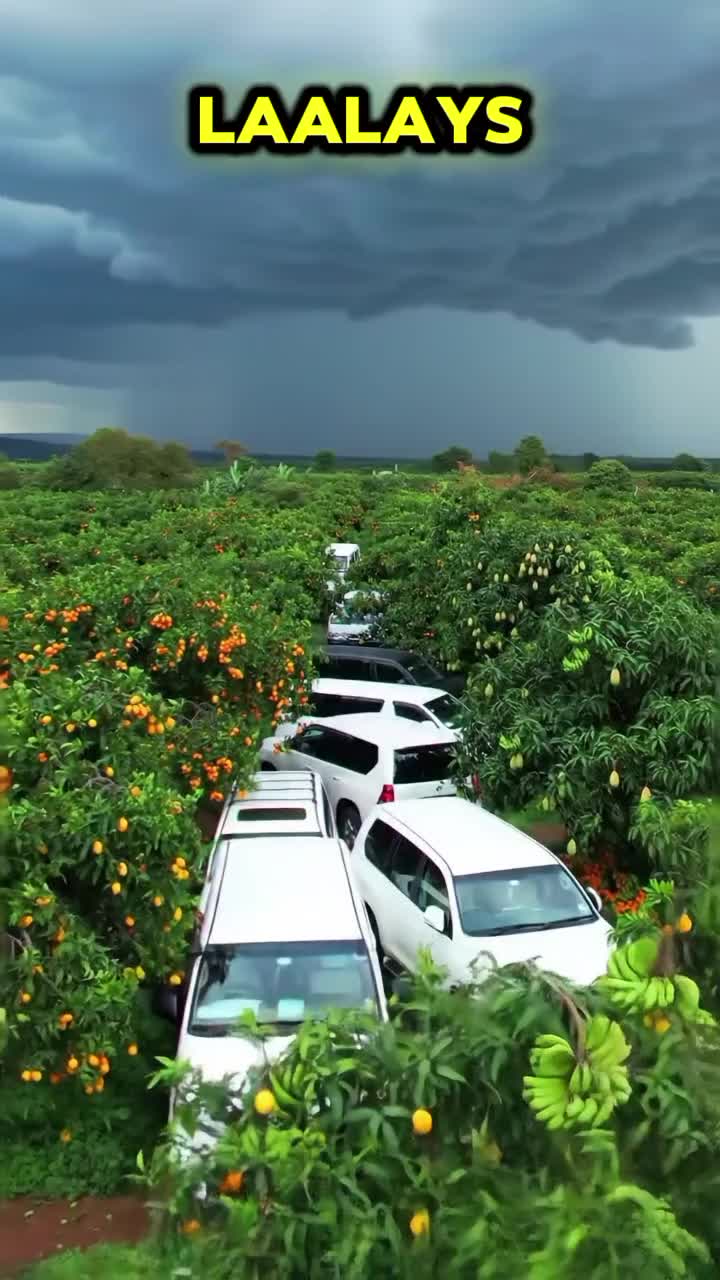@Mohammed ilaak