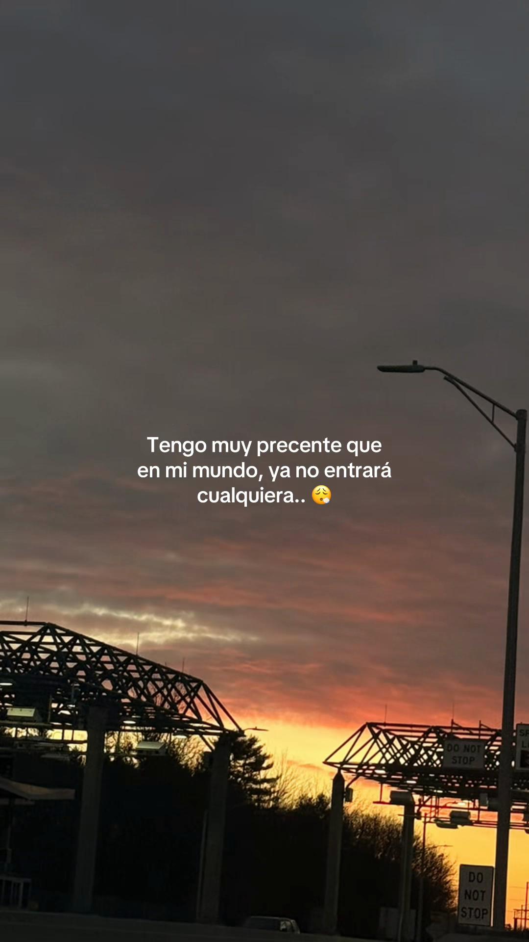 @ℛ𝑜𝓊𝓈 ꫂ ၴႅၴ⋆.𐙚 ̊
