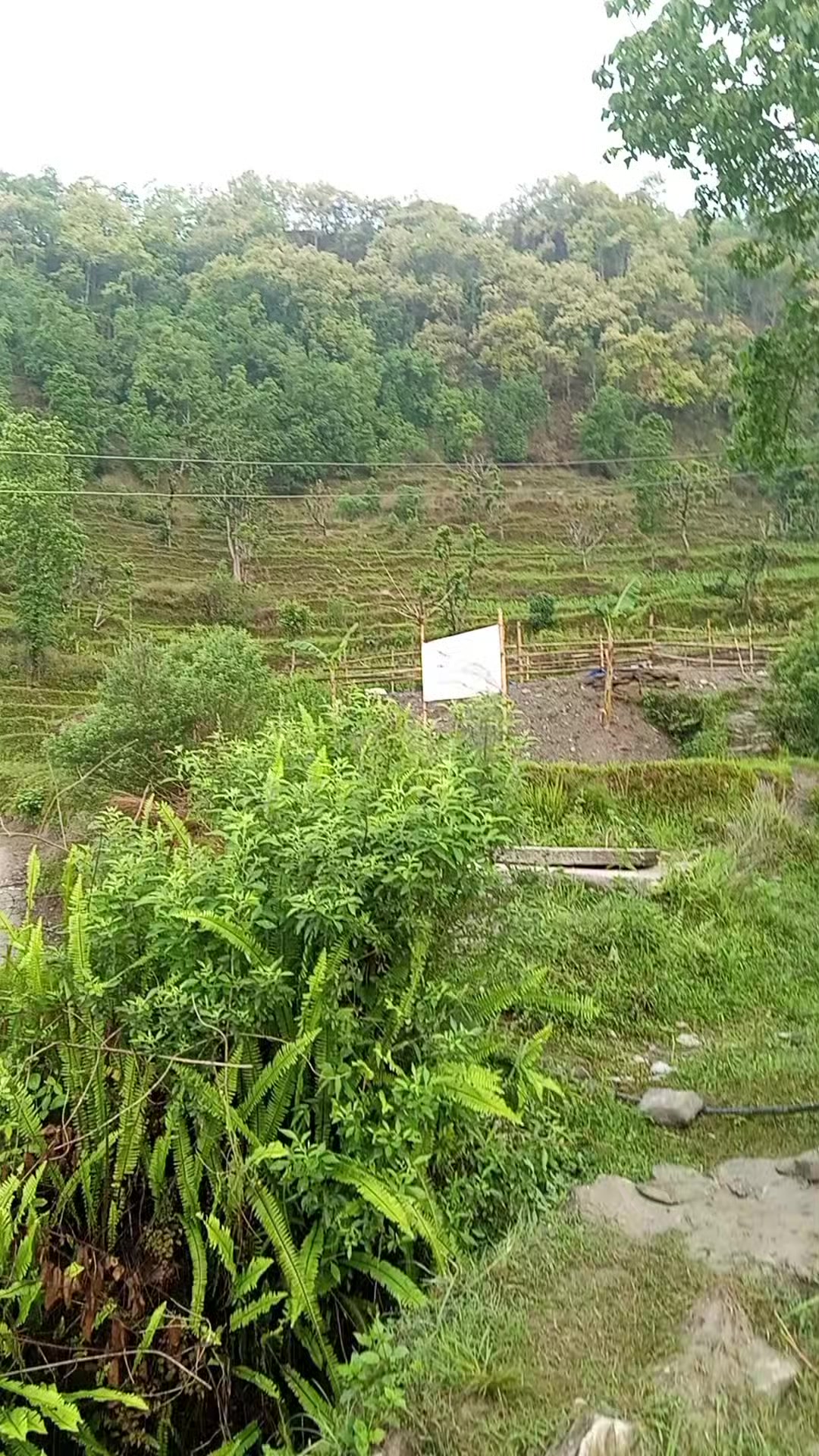 @Bhima Niraula