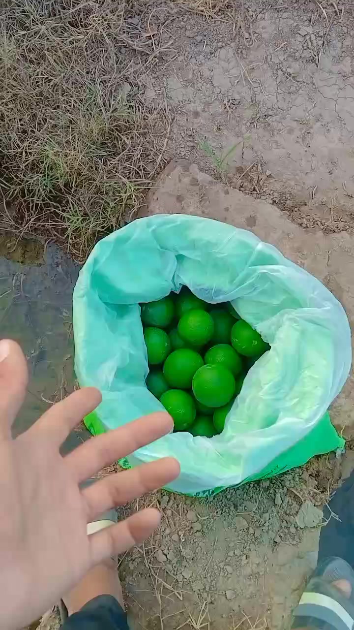 @Ahmad 392