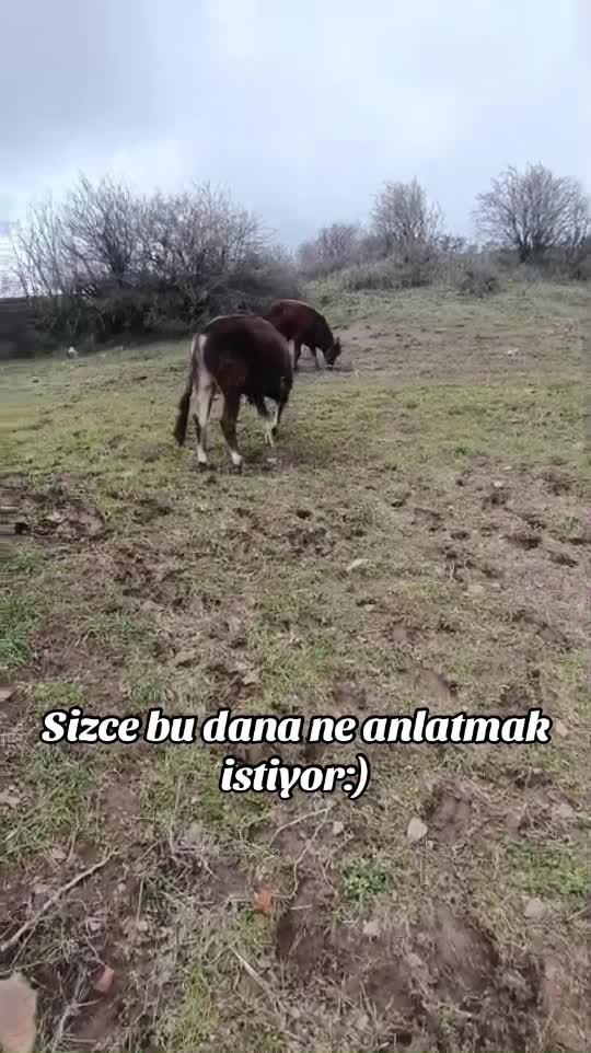 @ Recep Karaçam 