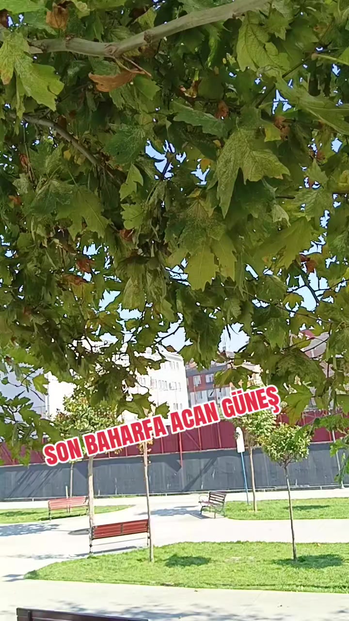 @HER Y&Uuml;Z&Uuml;NE 🤲G&Uuml;LENİ DOSSANMA🤲