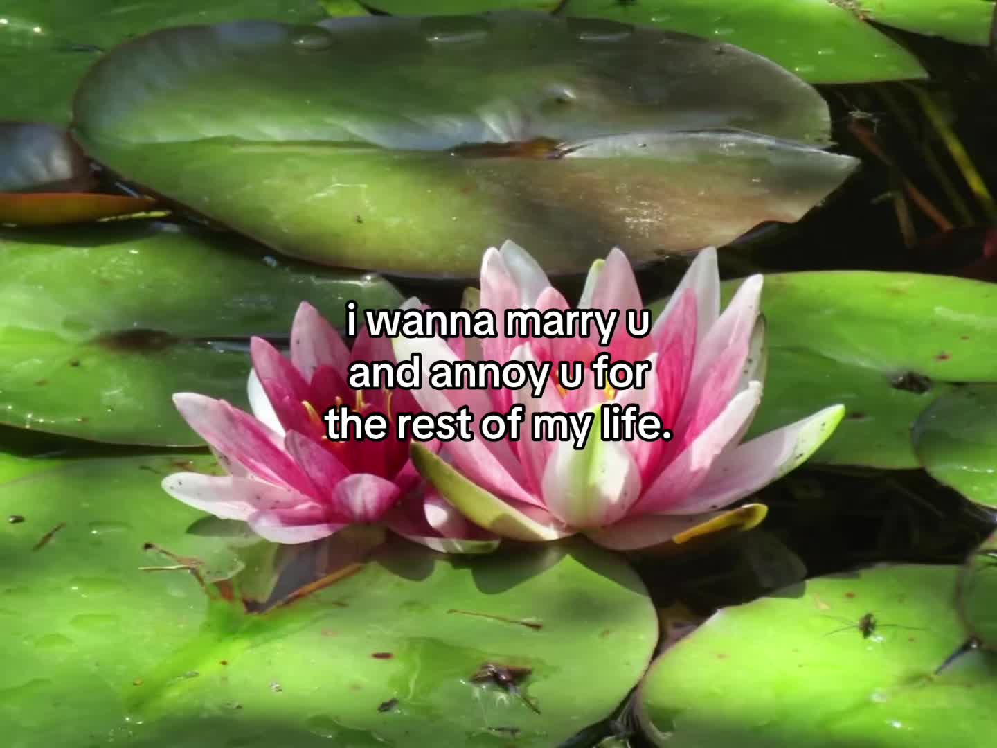 @flowercorrre
