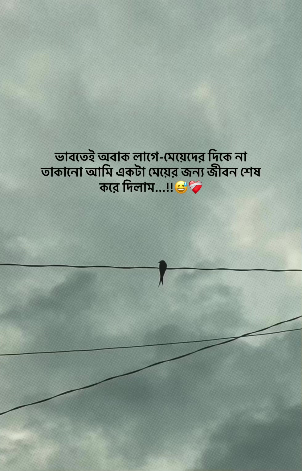 @the_spydoo🕸️ 🥏