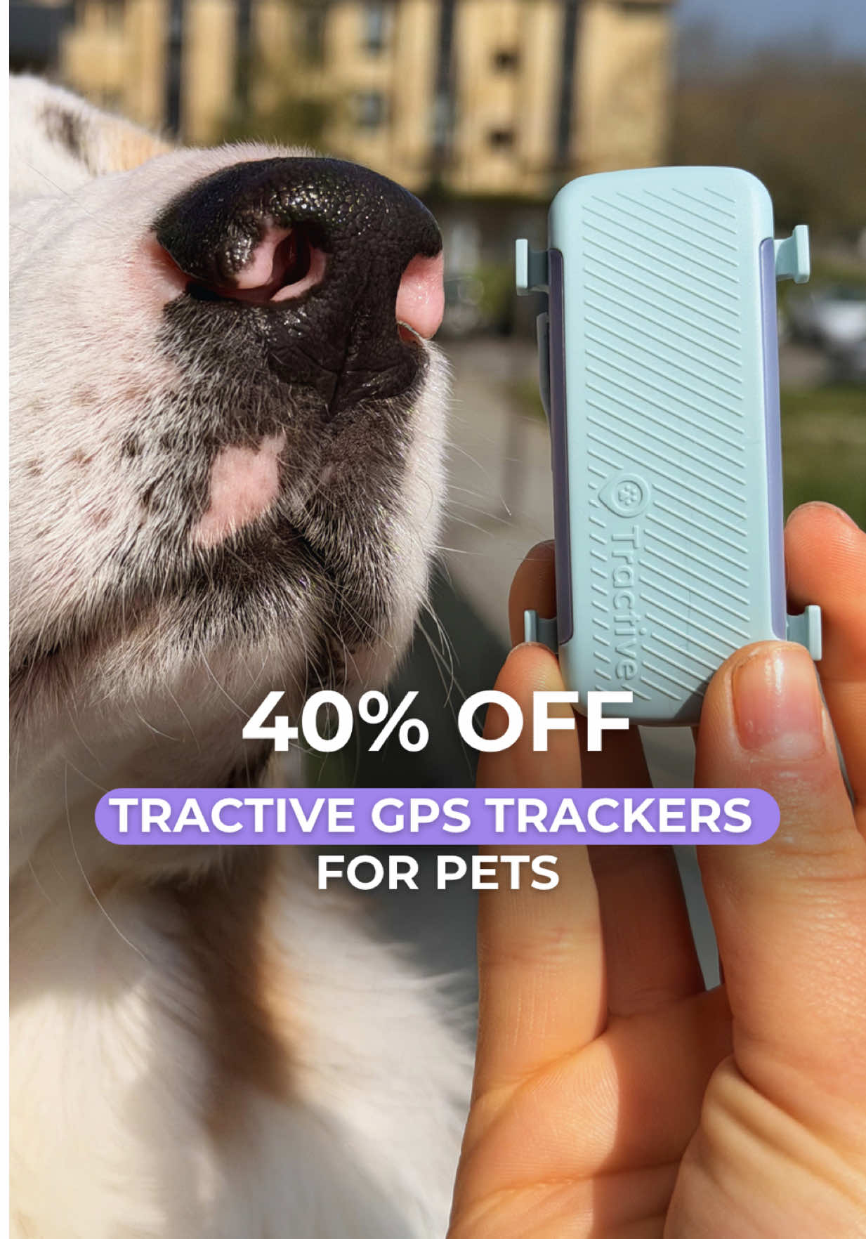 @kinolog.school