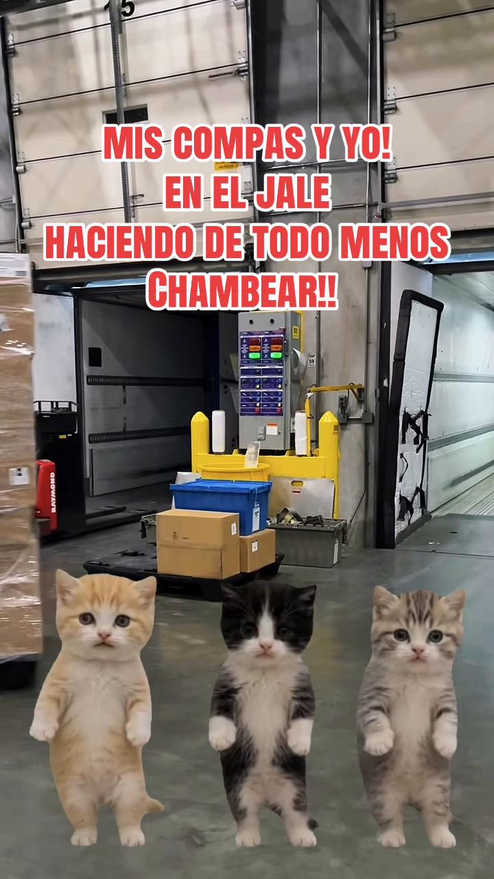 @Andypanda16
