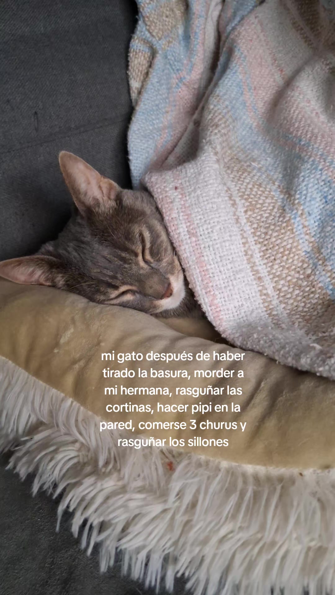 @🐈🐶🐦Frank y Mascotas 🐢🦎🐾