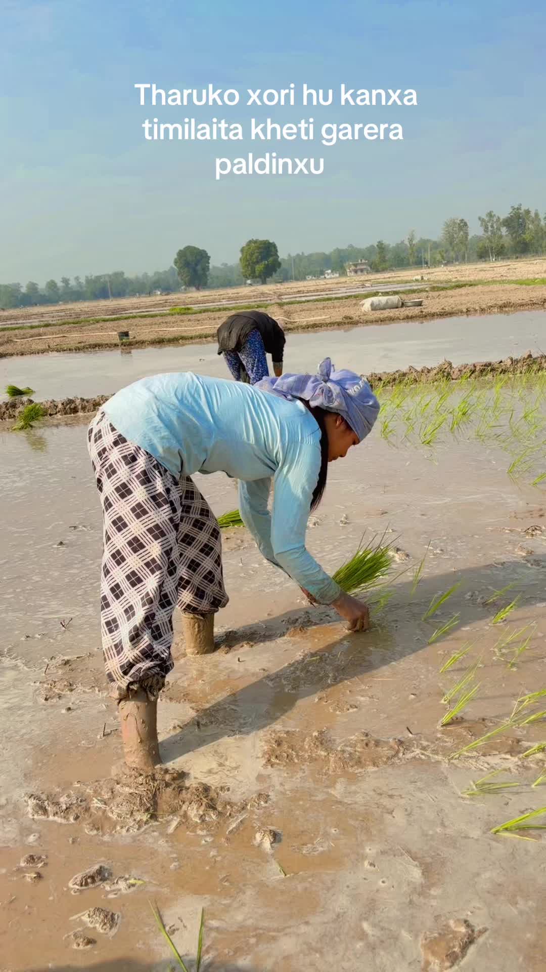 @sarmila tailor jhalari