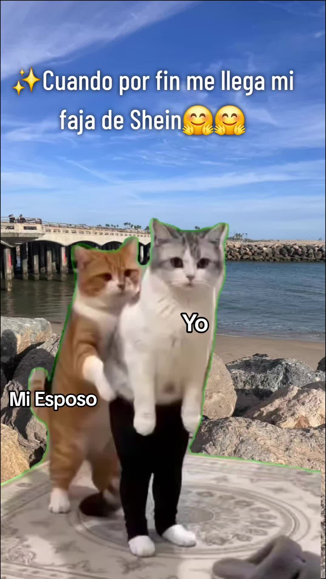 @Karla Sibrian
