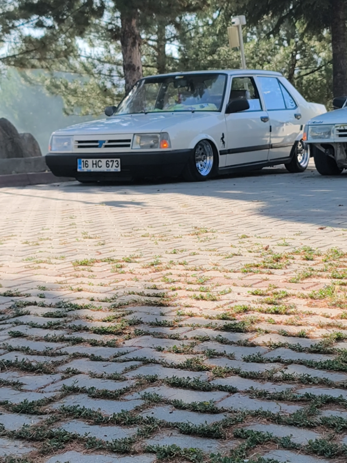 @dogan s'in aga babası