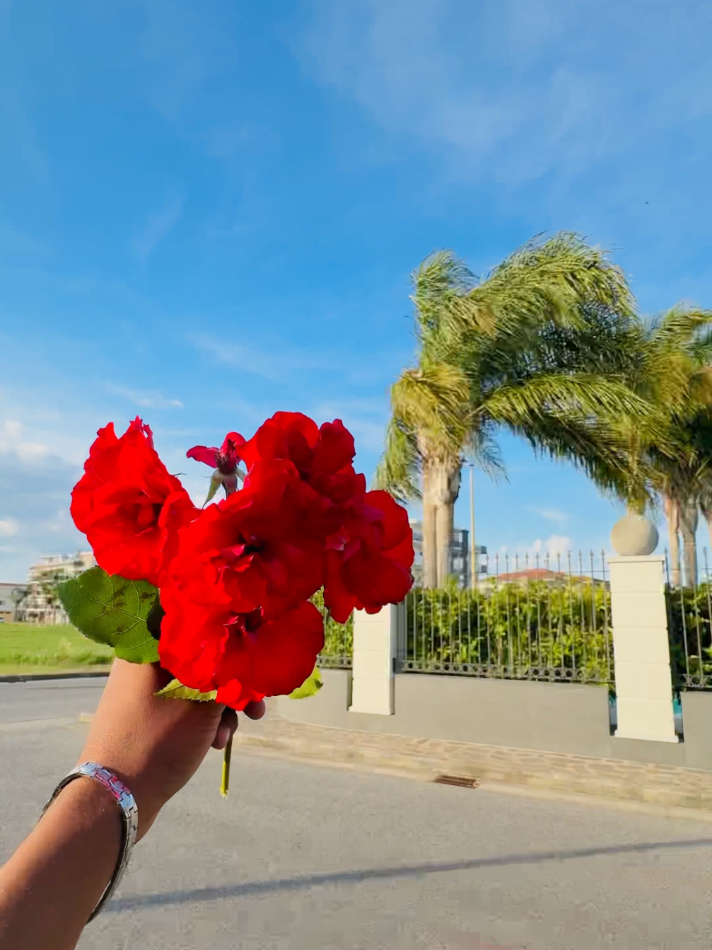 @𝑷𝑰𝑪𝑪𝑶𝑳𝑶 🗣️𝑨𝒀𝑨𝑵🇮🇹