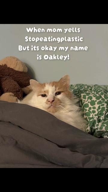 @oakleyhugs