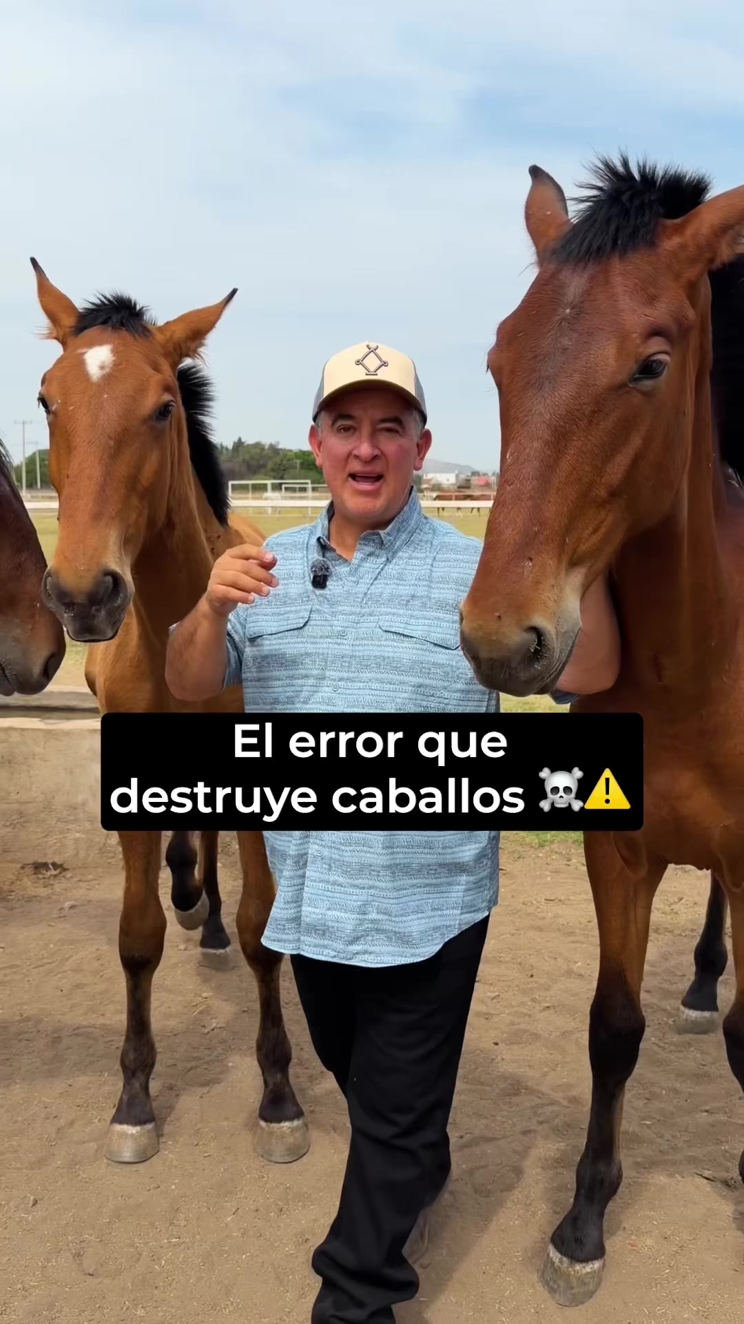 @Agua Zarca, Caballos Españoles