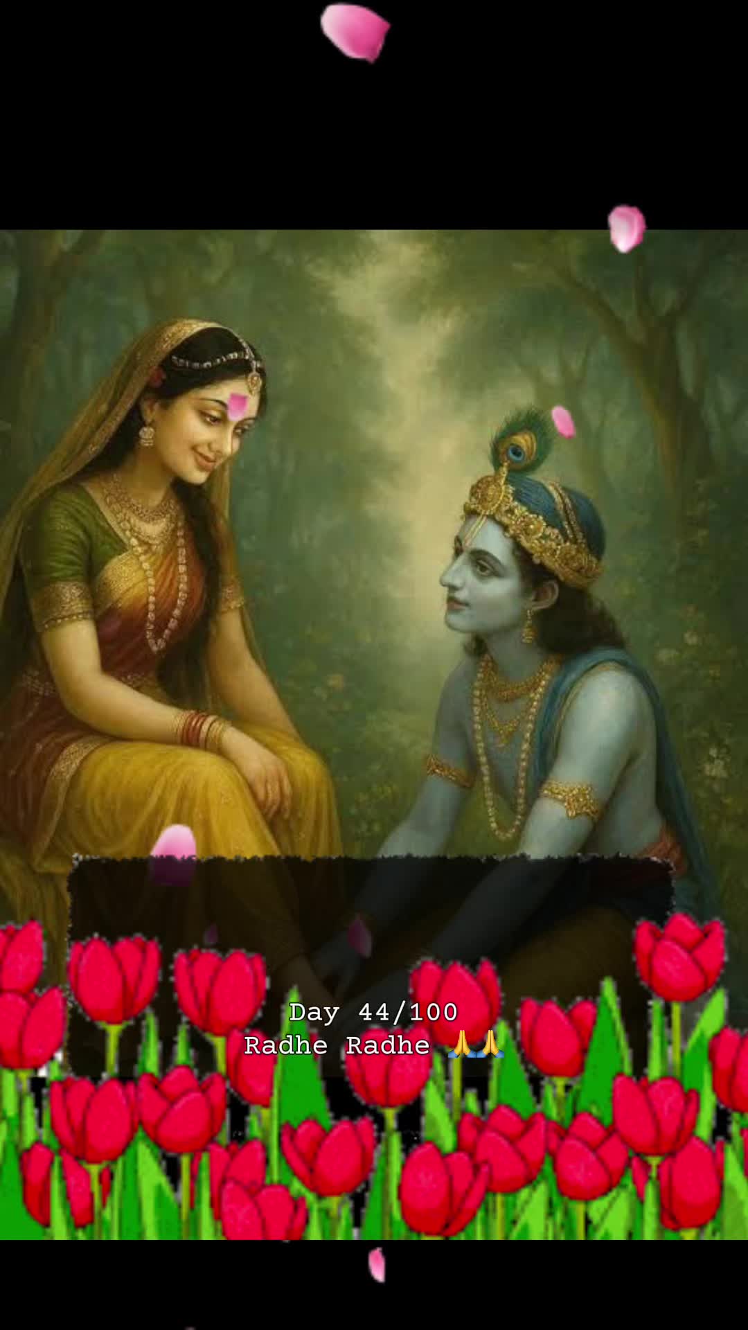 @RadheKrishna🦚🦚🙏🙏