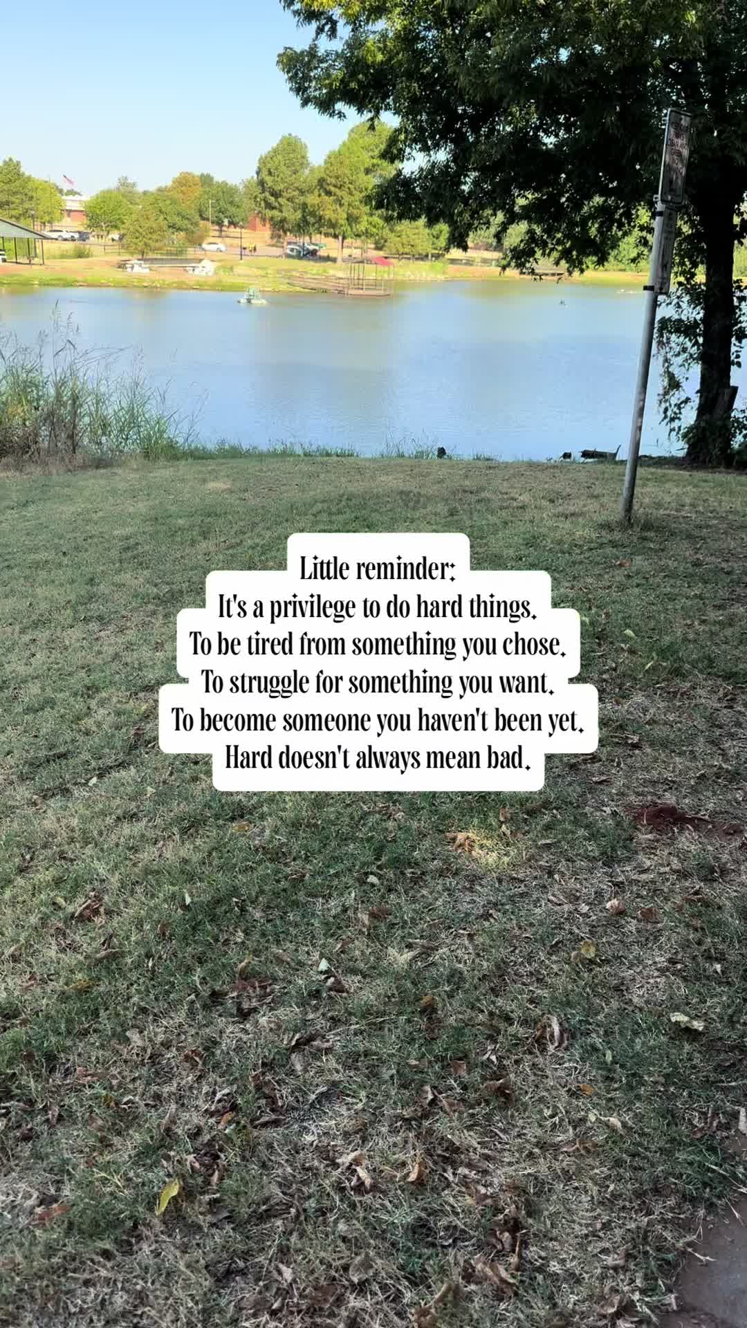 @ThelizaBusshaus