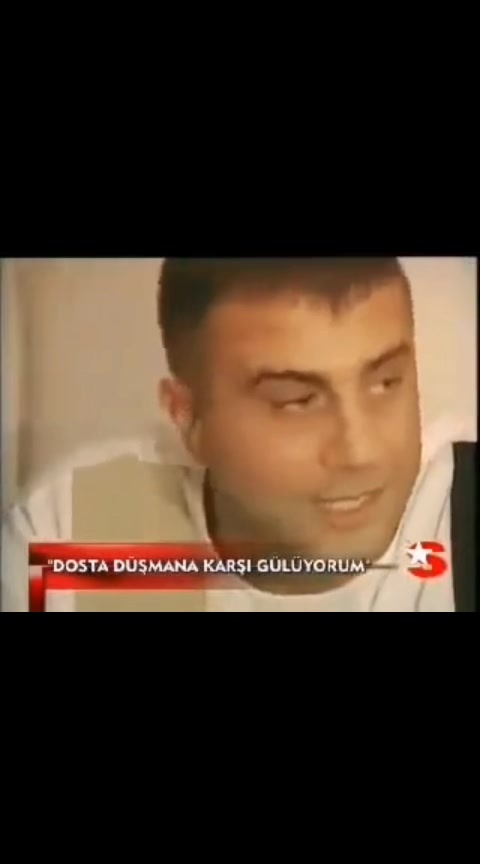 @reisinsesi