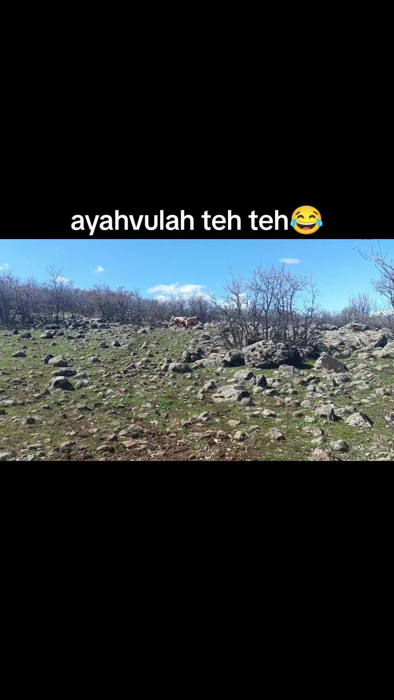 @ko&ccedil;er.12