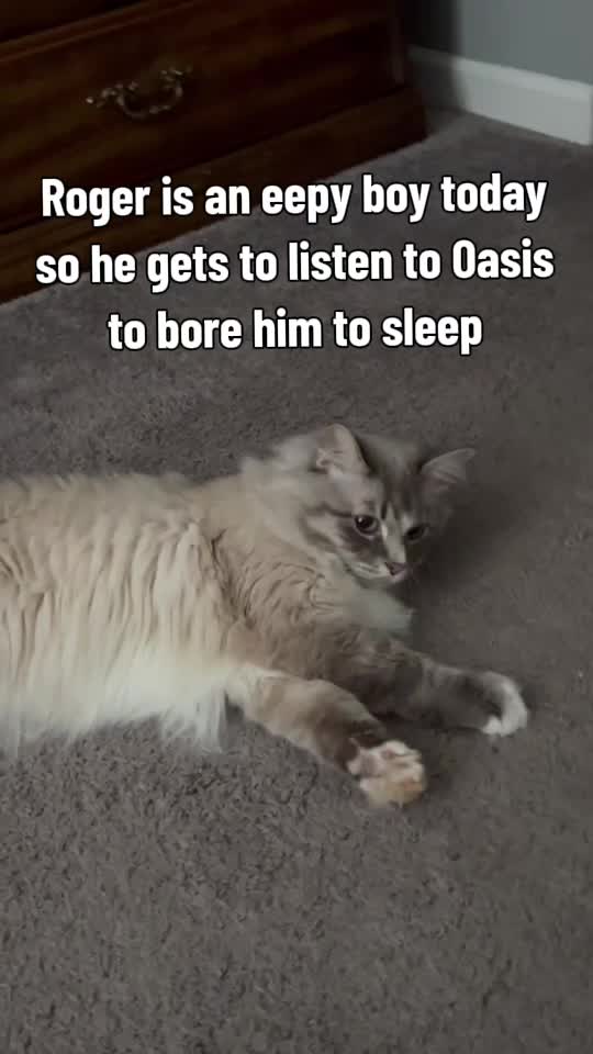 @rogerbiscuits